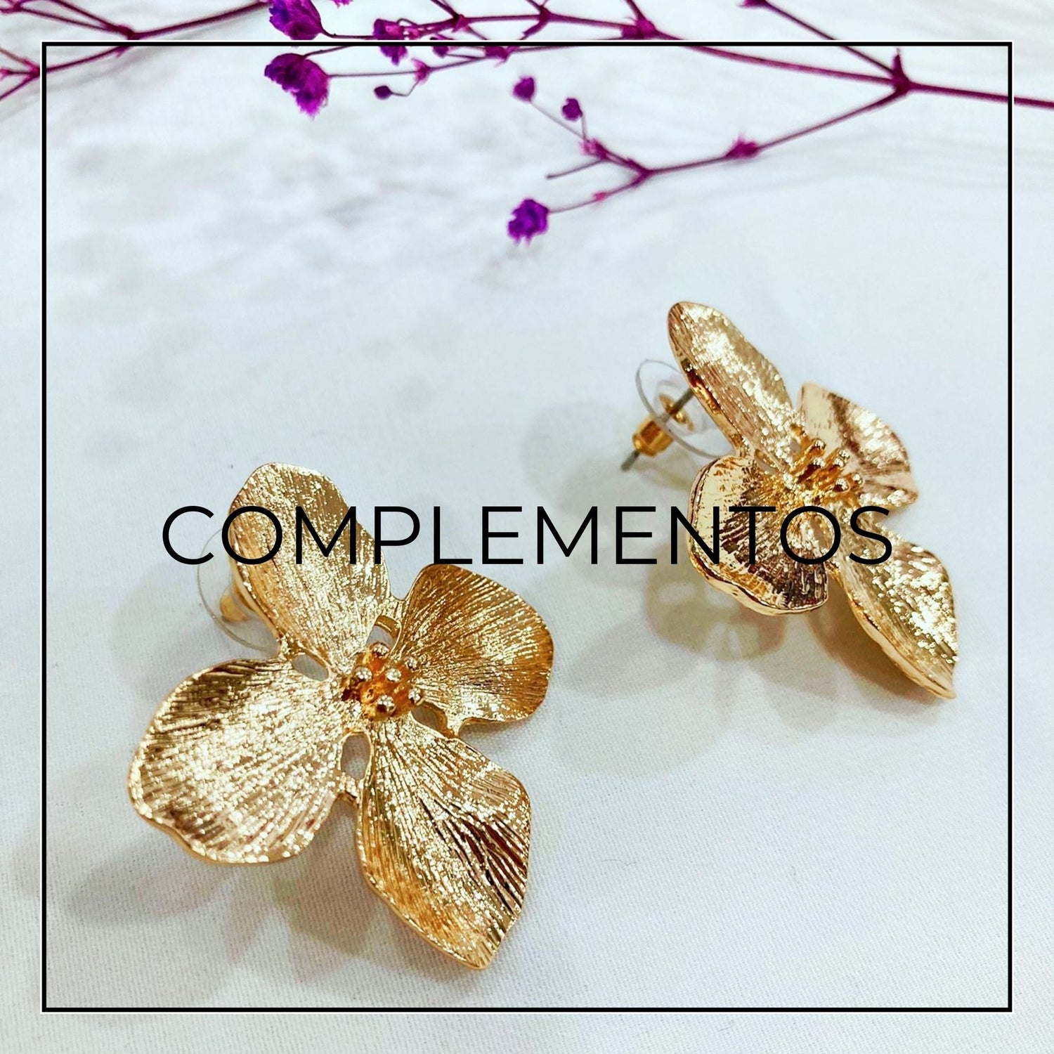 Complementos